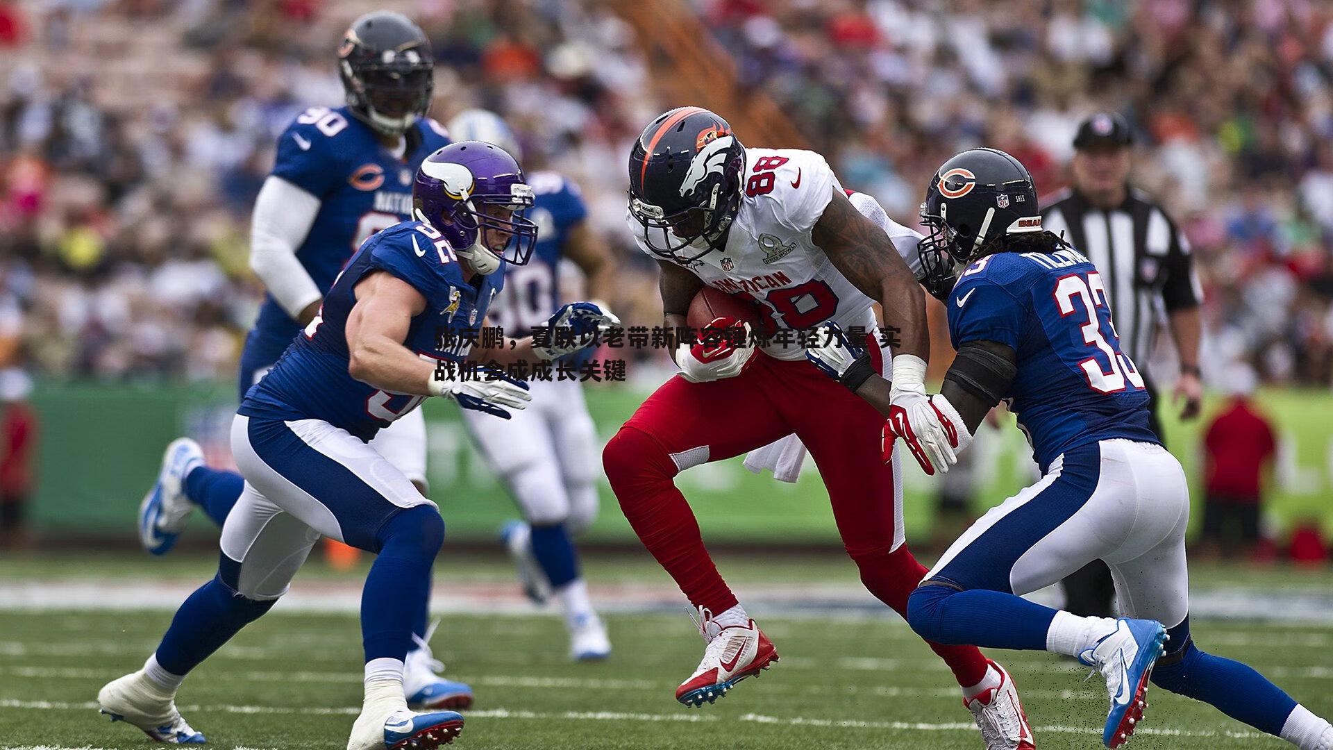 张庆鹏,夏联以老带新阵容锤炼年轻力量 实战机会成成长关键